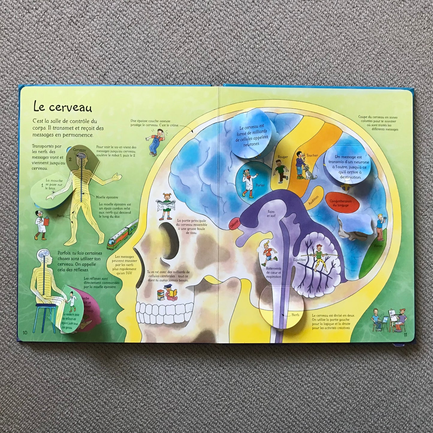Le corps humain (Fenêtre sur) - Pop up book
