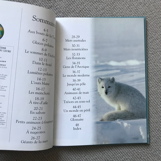 Pôle Nord, pôle Sud (6-9 ans)