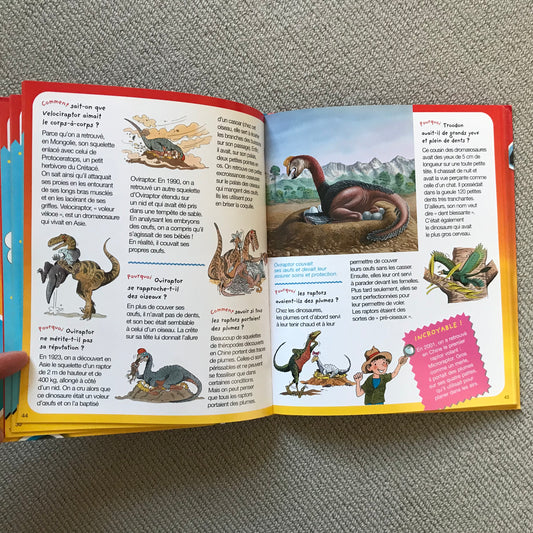 Dinosaures et autres espèces disparues