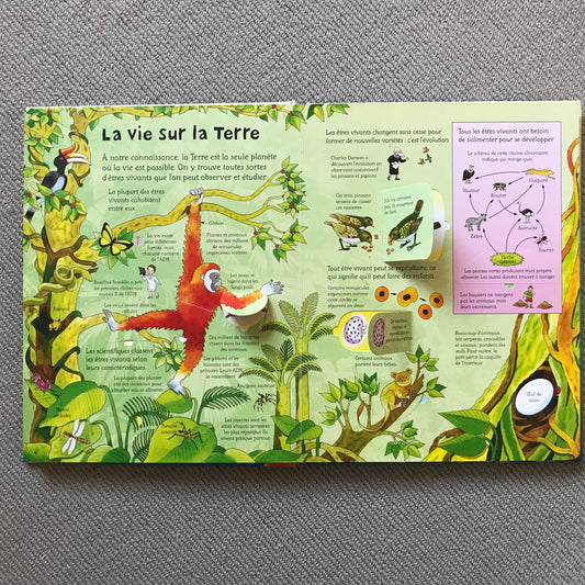 Les sciences (Fenêtre sur) - Pop up book