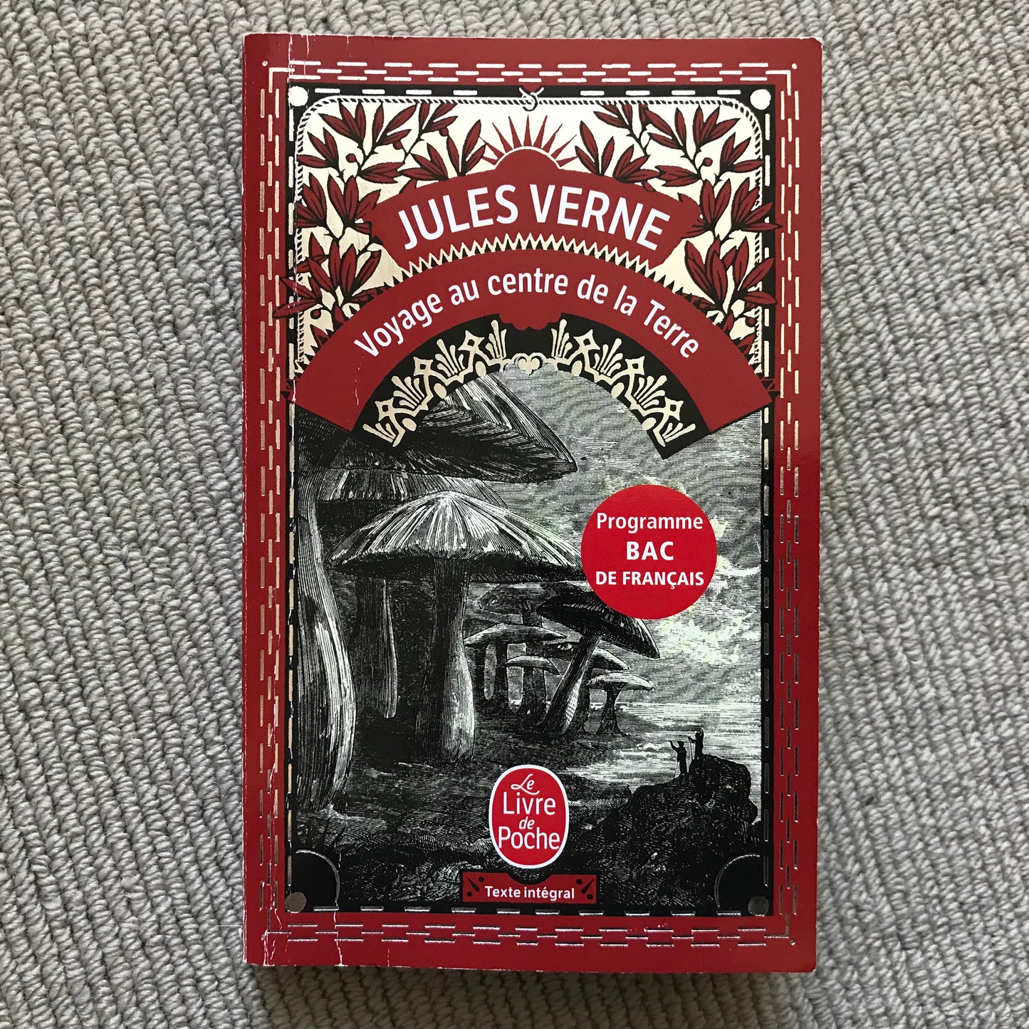 Verne, Jules - Voyage au centre de la Terre