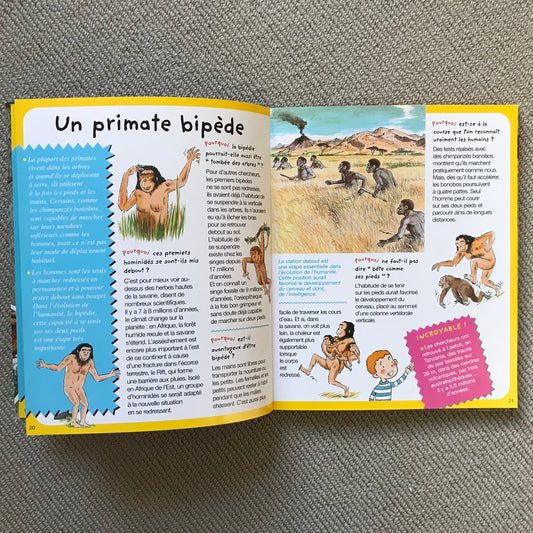 Préhistoire, pour répondre aux questions des enfants