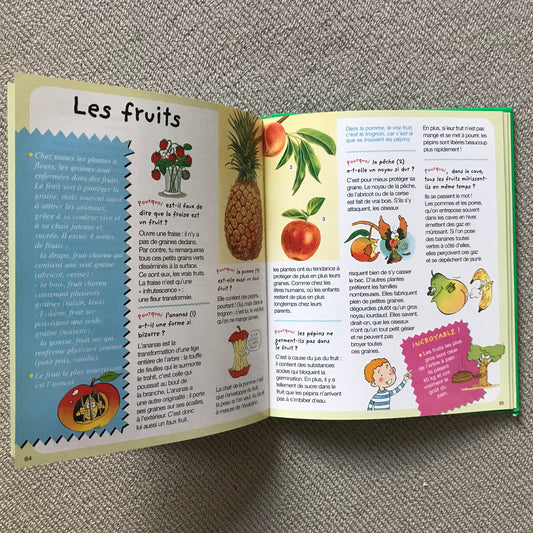 L’imagerie de la nature