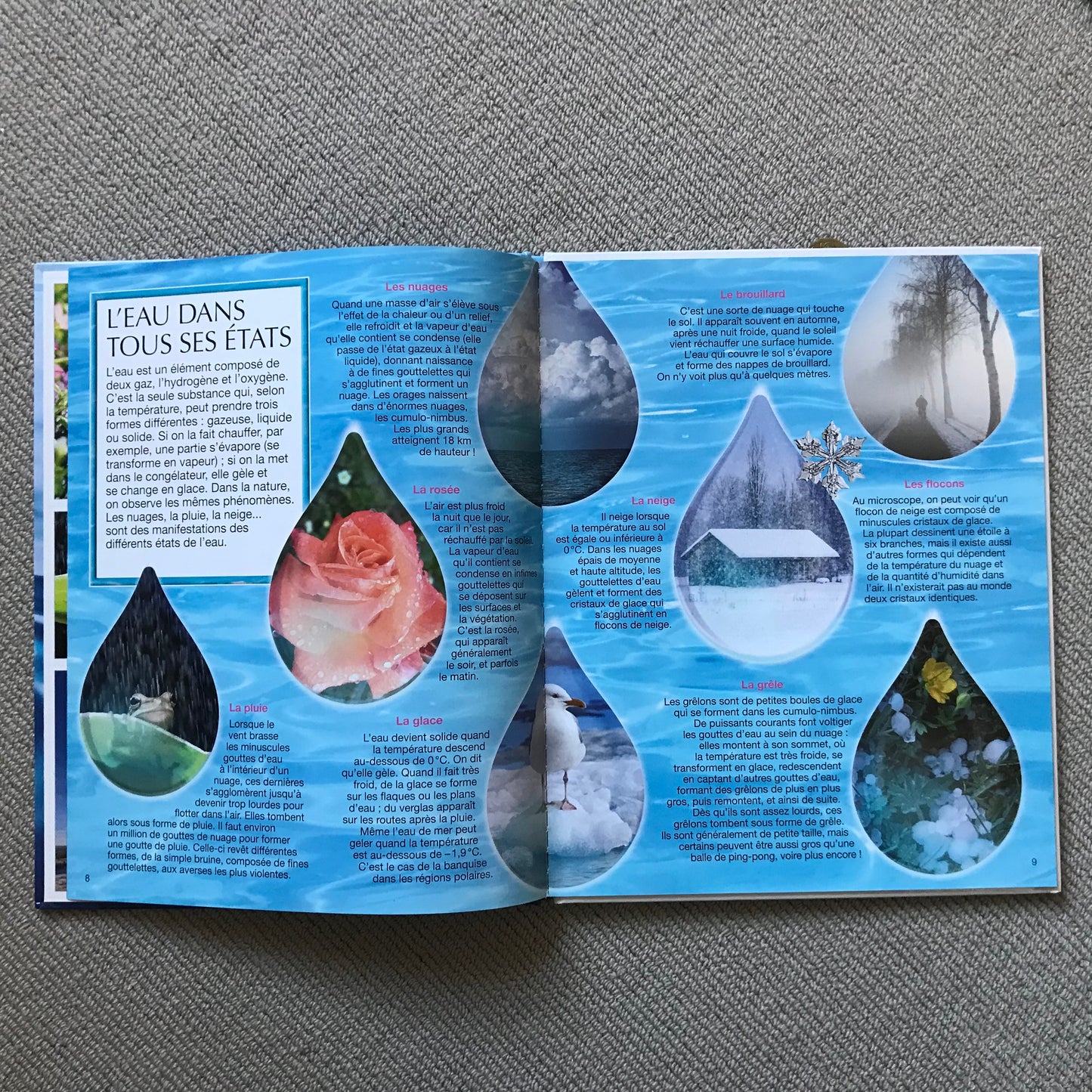 L’eau, la vie