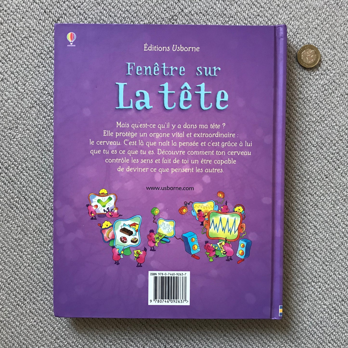 La tête (Fenêtre sur) - Pop up book