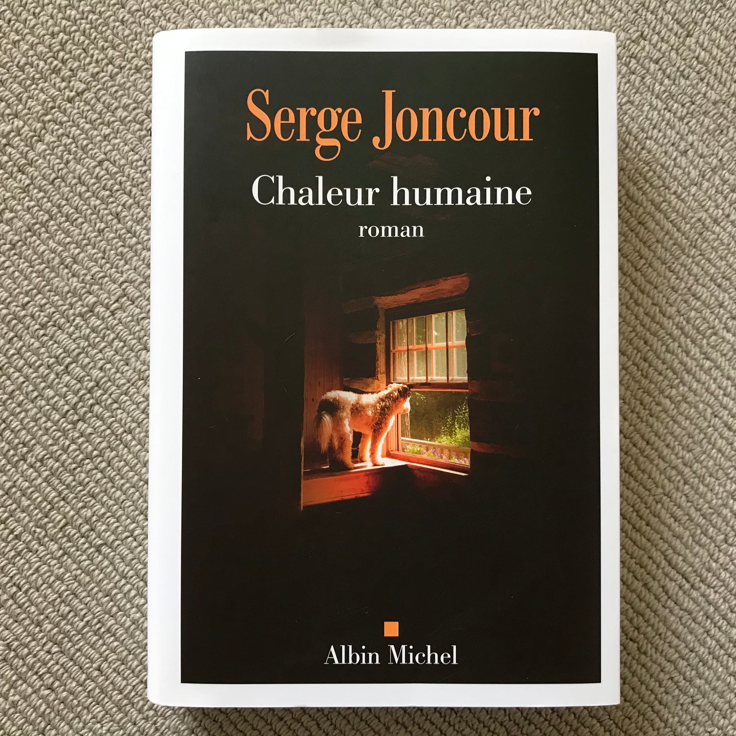 Joncour, Serge - Chaleur humaine
