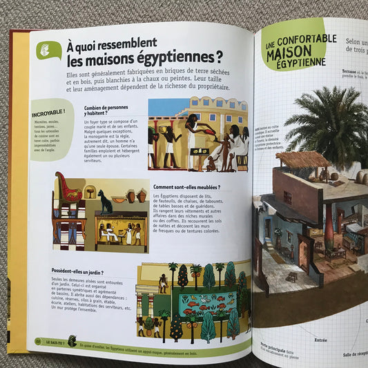 L’Egypte ancienne (Questions ? Réponses !)