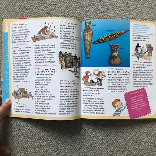 L’Égypte (pourquoi/comment)