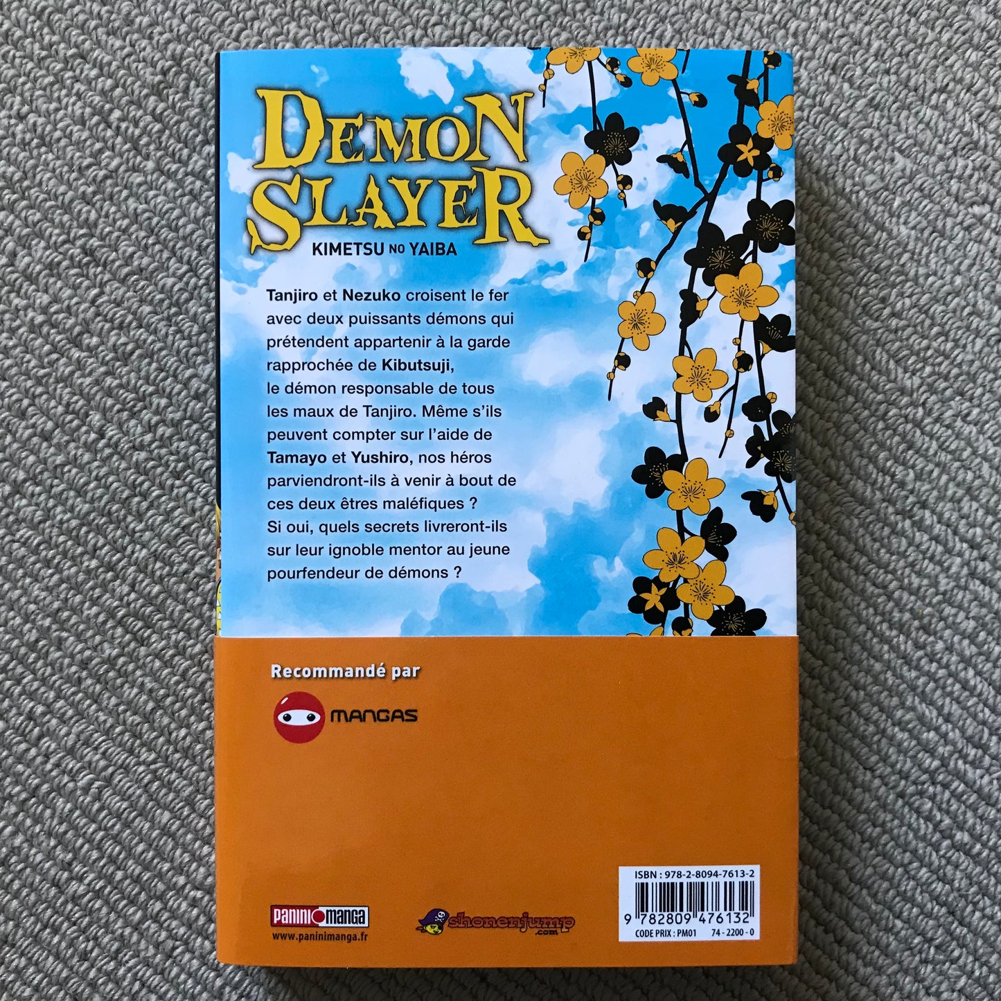 Demon Slayer T.03 - Koyoharu Gotouge