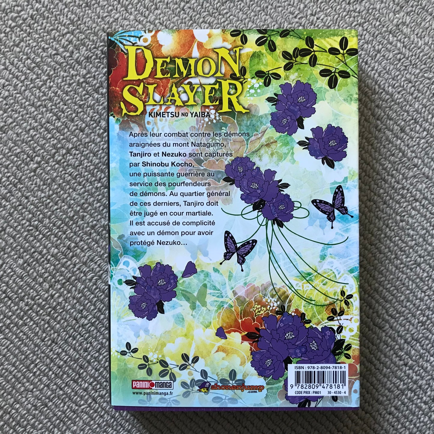 Demon Slayer T.06 - Koyoharu Gotouge