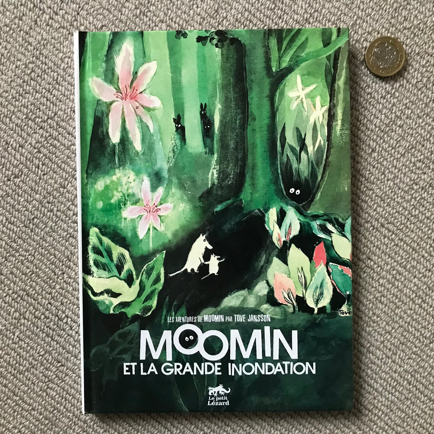 Moomin et la grande inondation - Tove Jansson