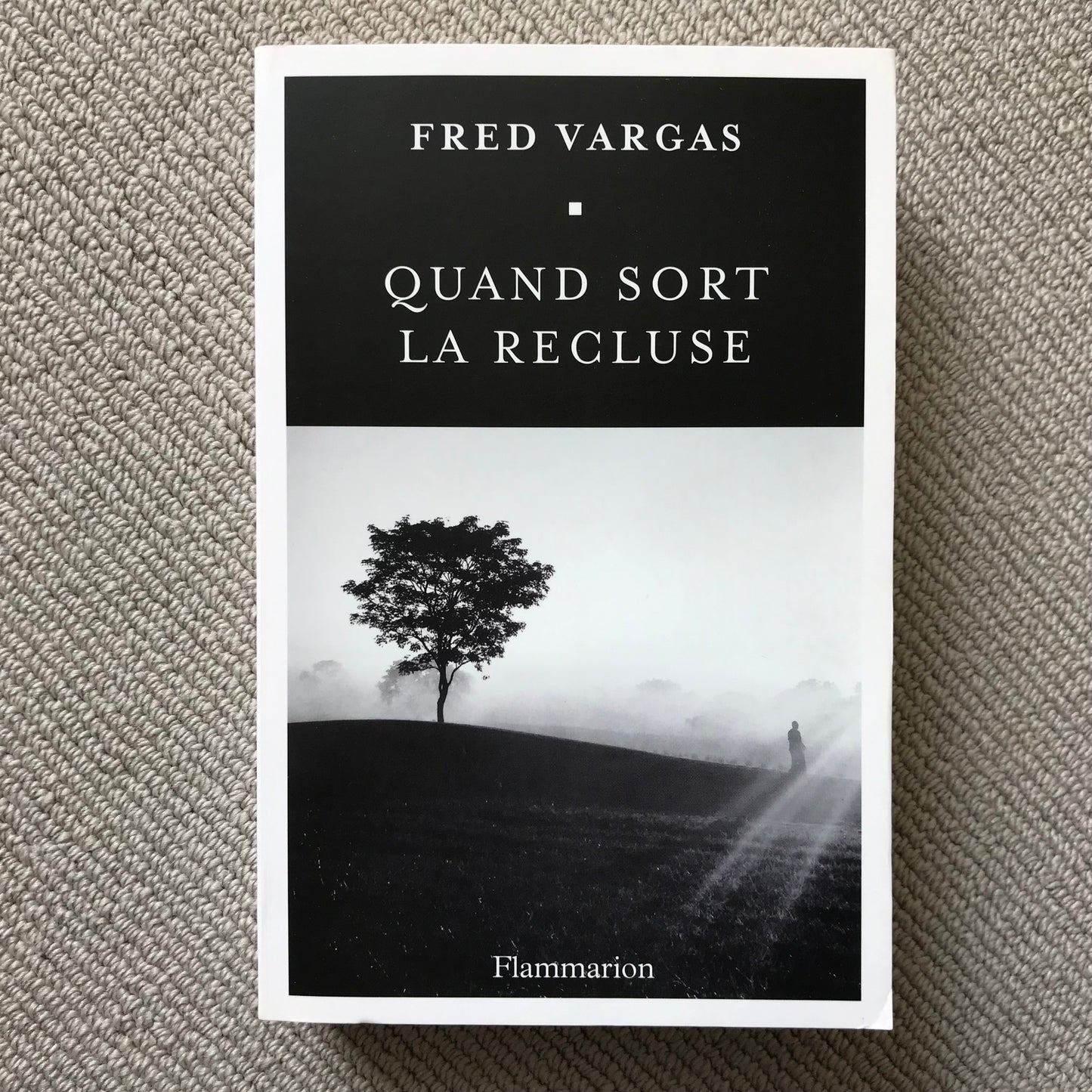 Vargas, Fred - Quand sort la recluse