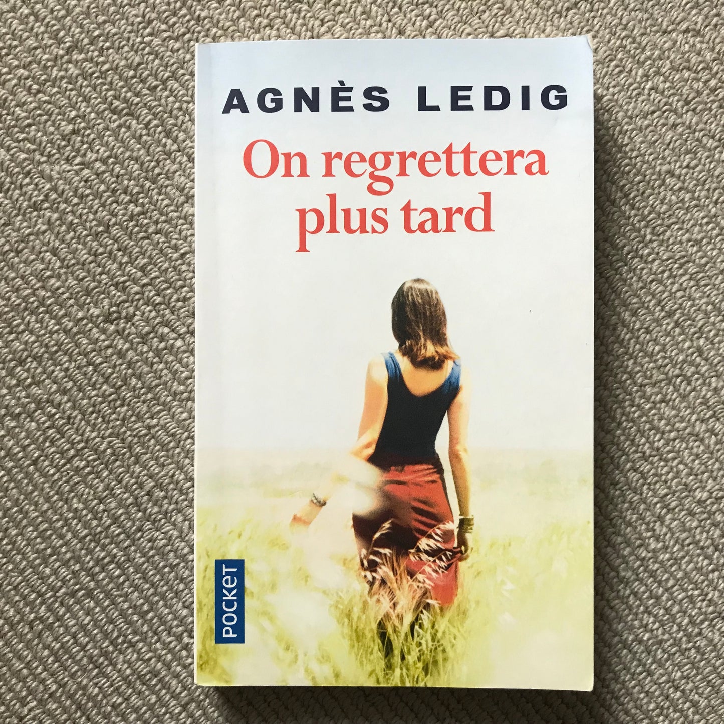 Ledig, Agnès - On regrettera plus tard