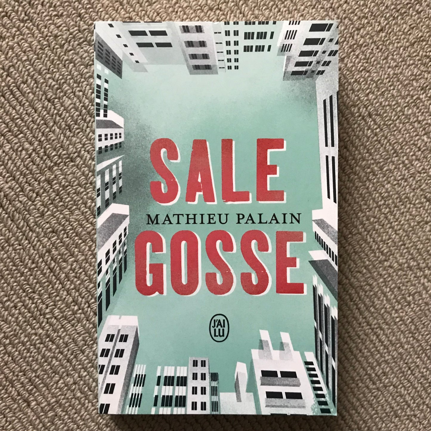 Palain, Mathieu - Sale gosse