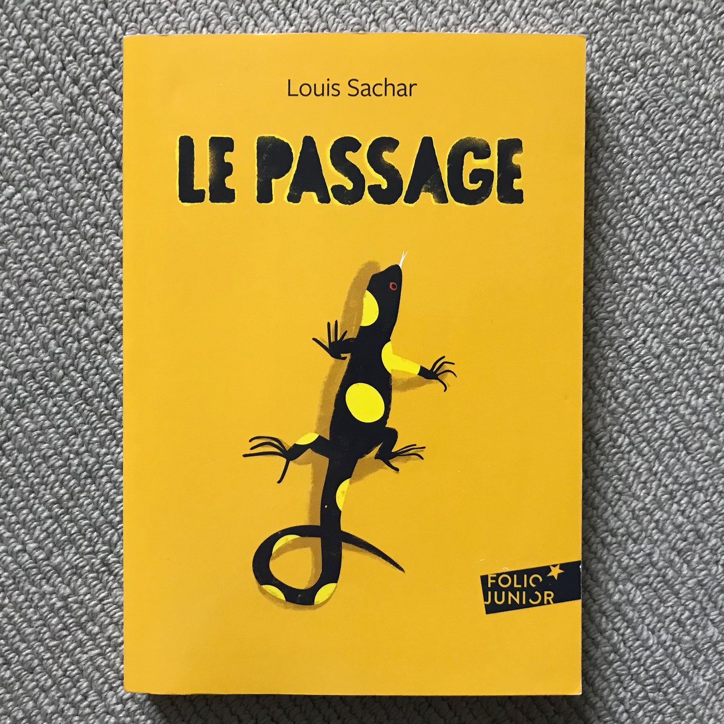 Sachar, Louis - Le passage