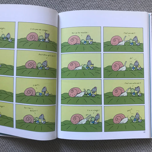 Les meilleures réflexions d’une grenouille