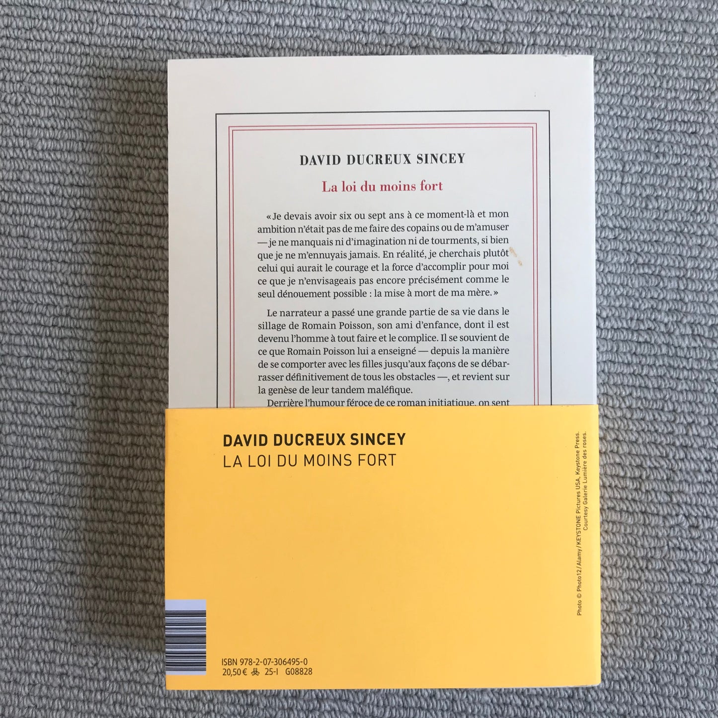 Ducreux Sincey, David - La loi du moins fort