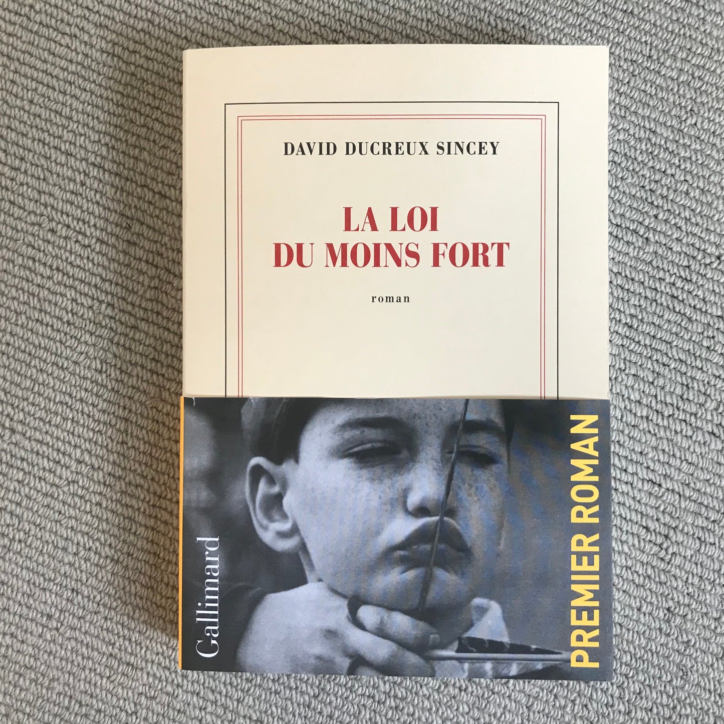 Ducreux Sincey, David - La loi du moins fort