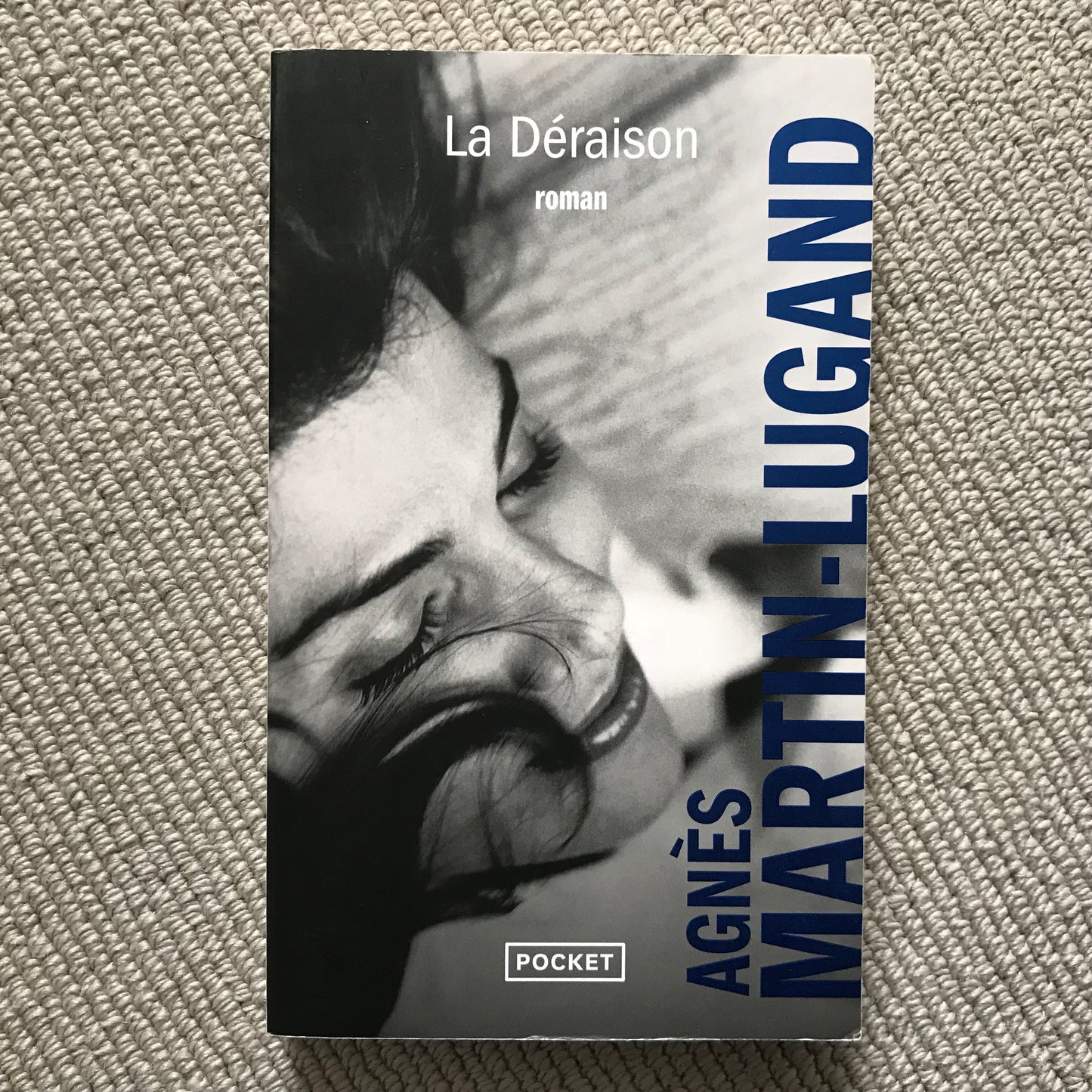 Martin-Lugand, Agnès - La déraison