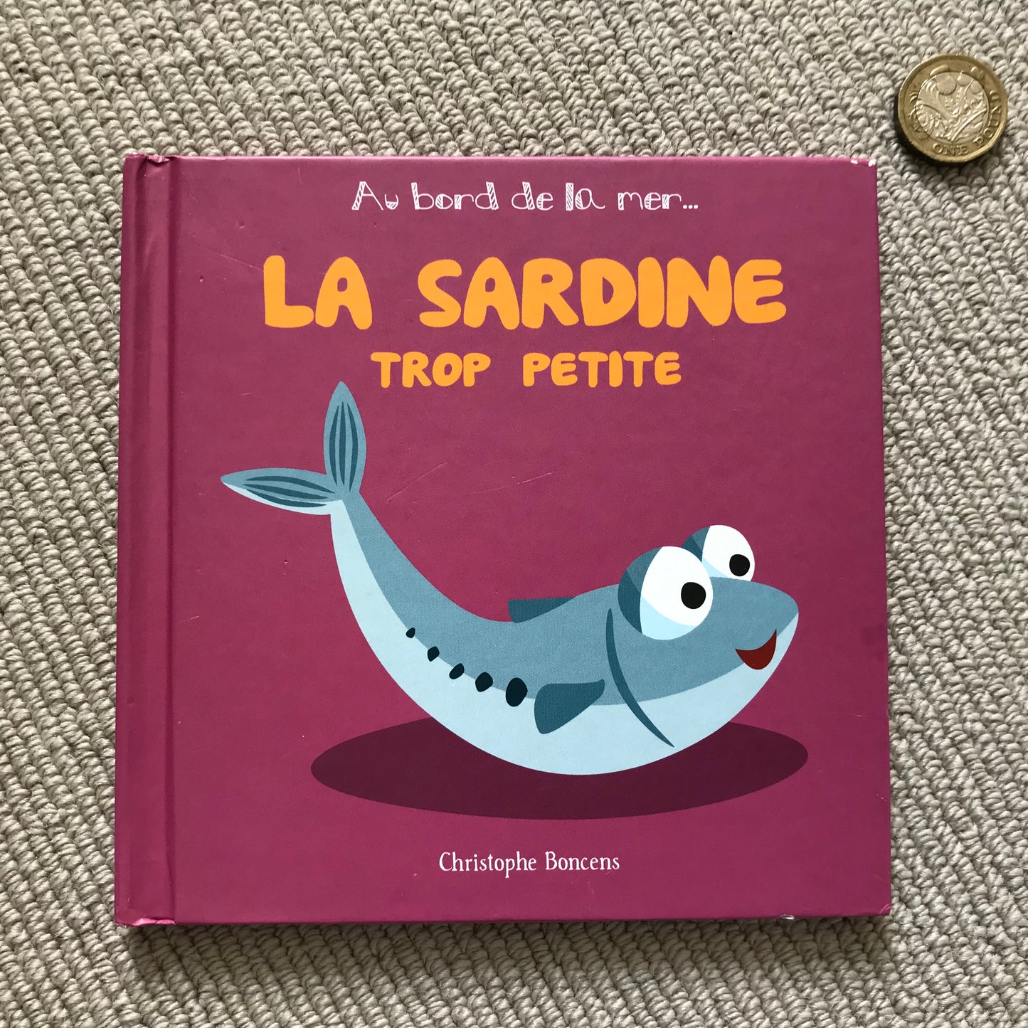 La sardine trop petite