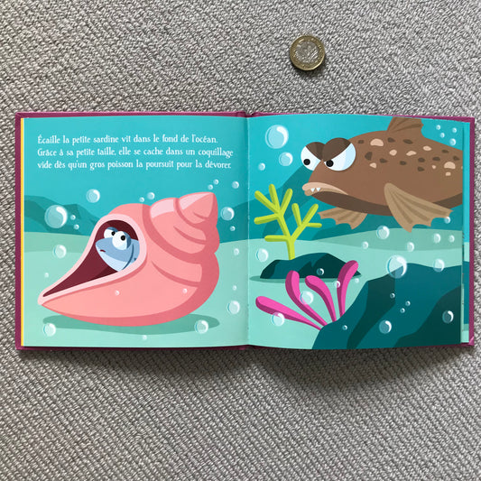 La sardine trop petite