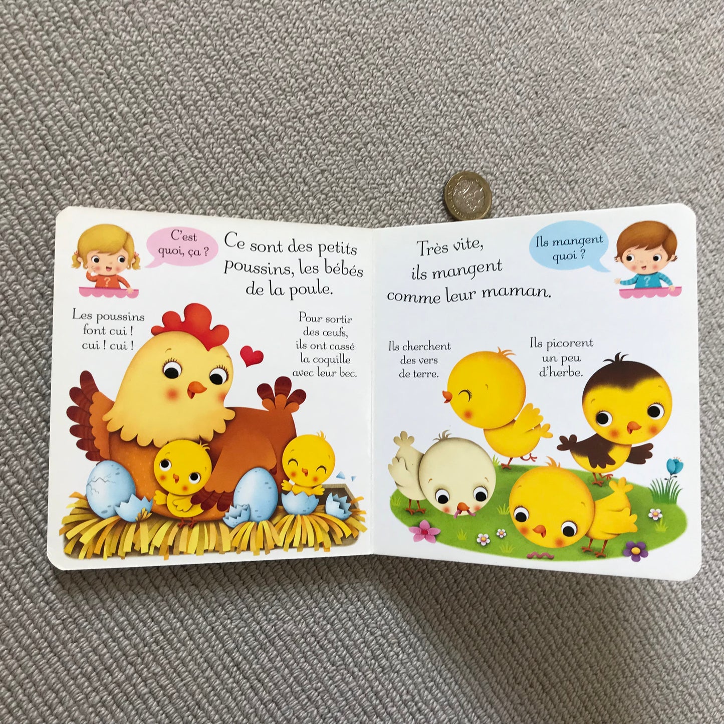 Les poules (C’est quoi, ça ?)