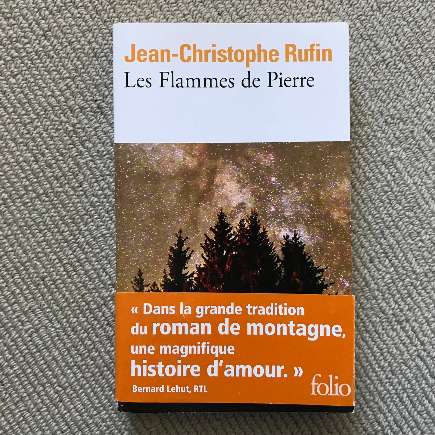 Rufin, Jean-Christophe - Les Flammes de Pierre
