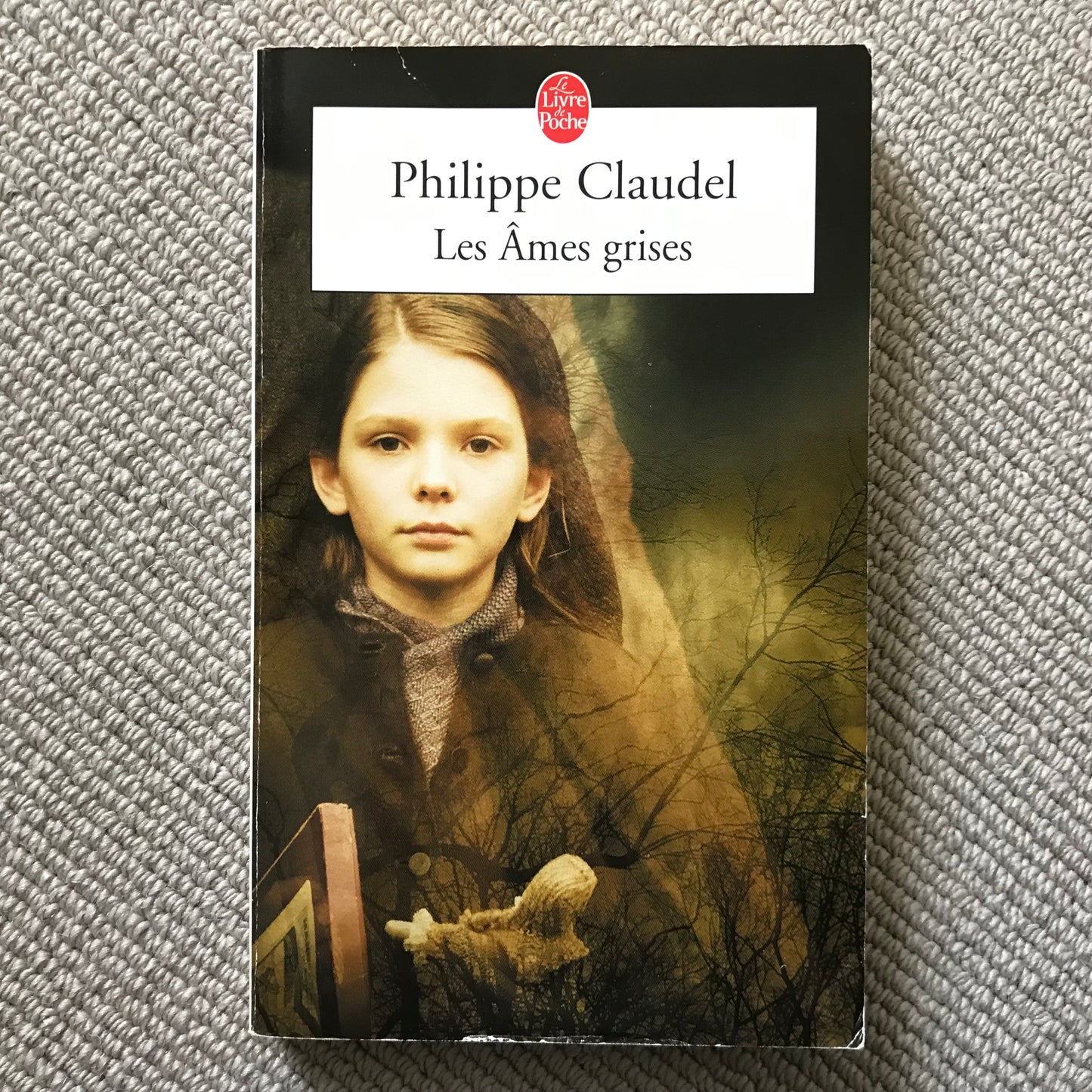 Claudel, Philippe - Les âmes grises