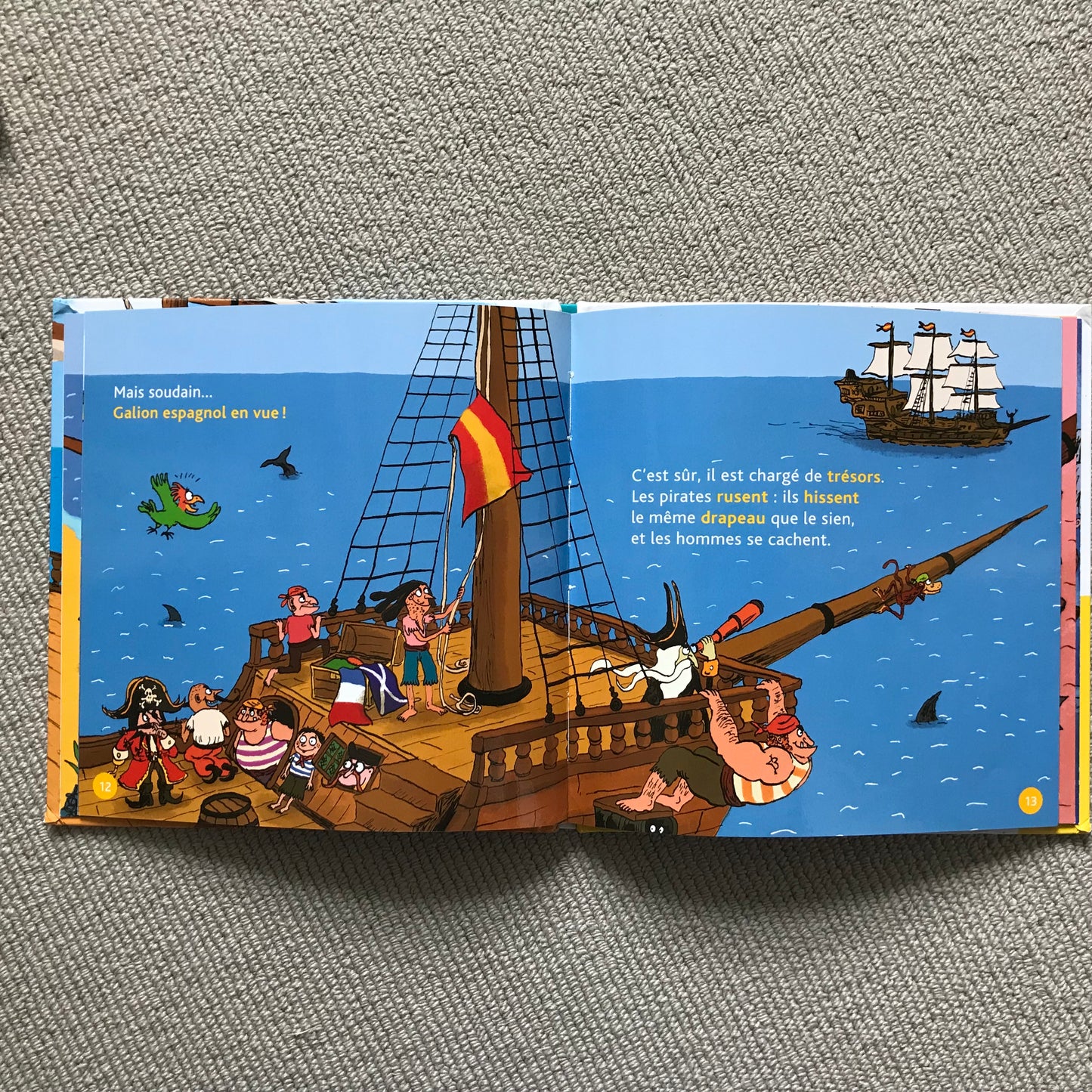 Mes p’tits docs: Les pirates