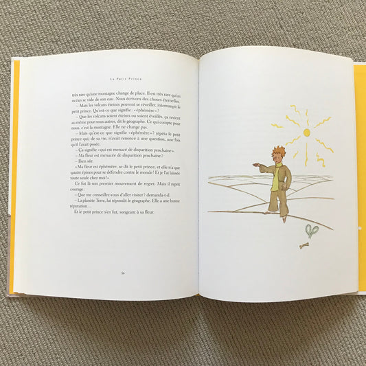 Le Petit Prince - A. De Saint Exupéry