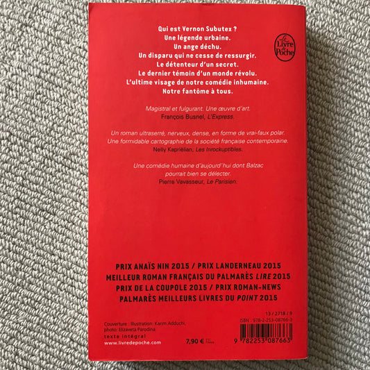 Virginie Despentes - Vernon Subutex 1