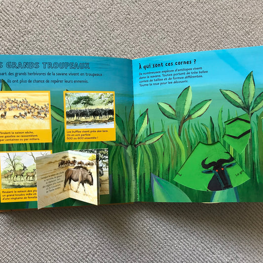 Kididoc - Les animaux de la savane