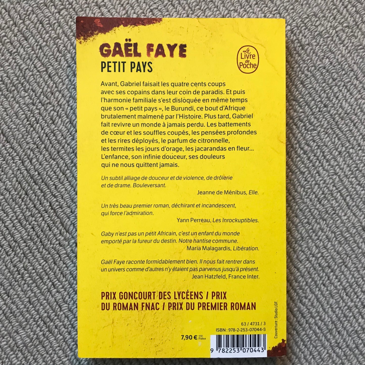 Faye, Gaël - Petit pays