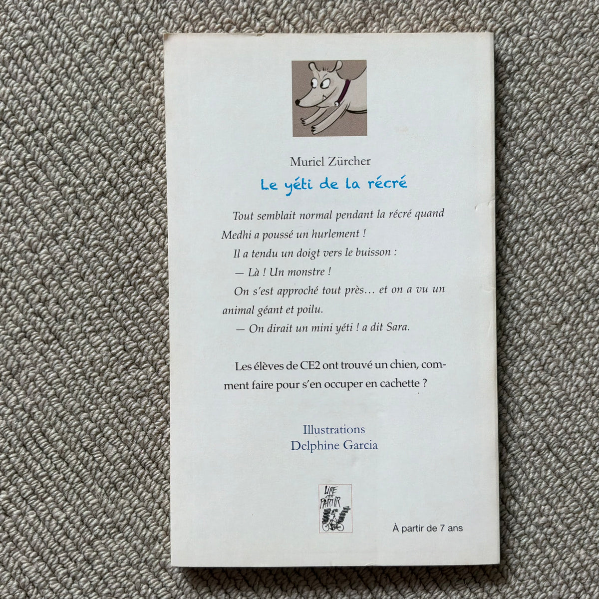 Le yéti de la récré - M. Zürcher