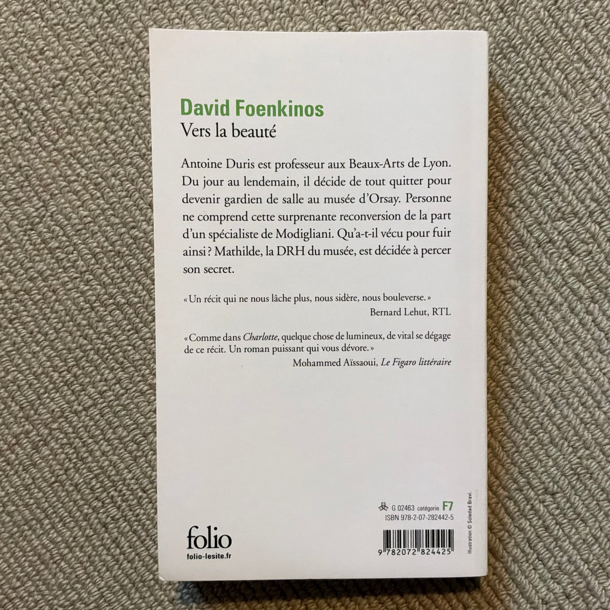 Foenkinos, David - Vers la beauté