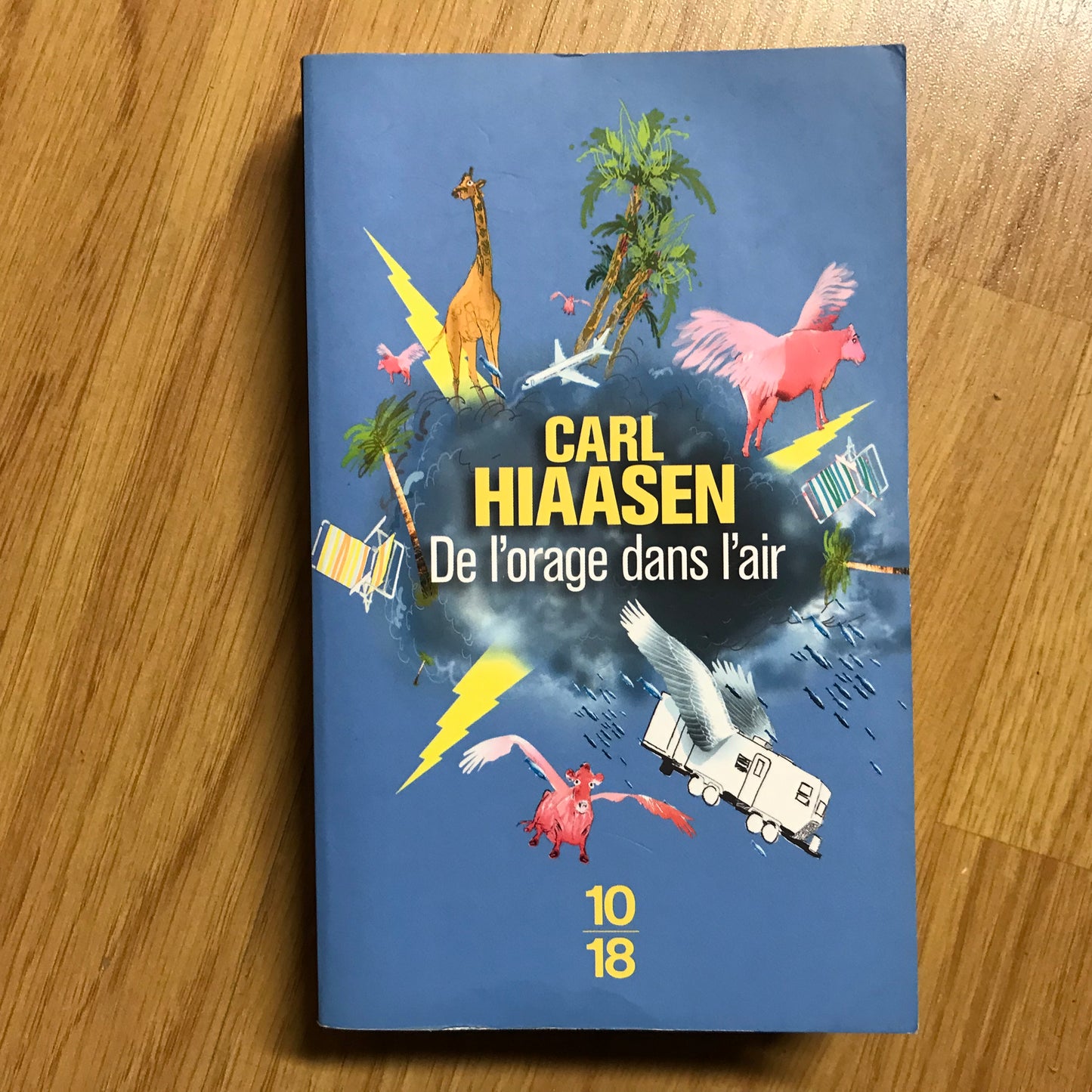 Hiaasen, Carl - De l’orage dans l’air