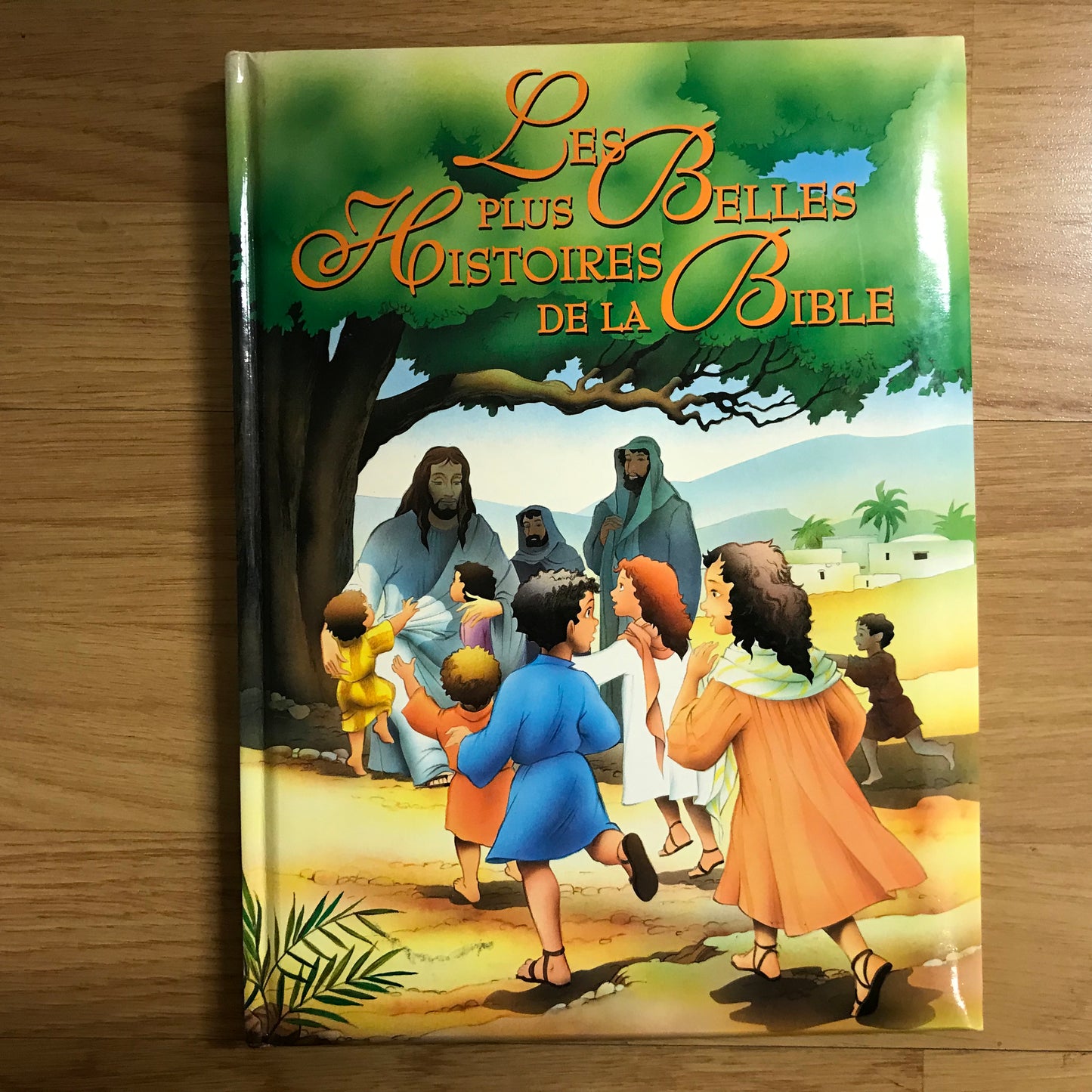 Les plus belles histoires de la Bible