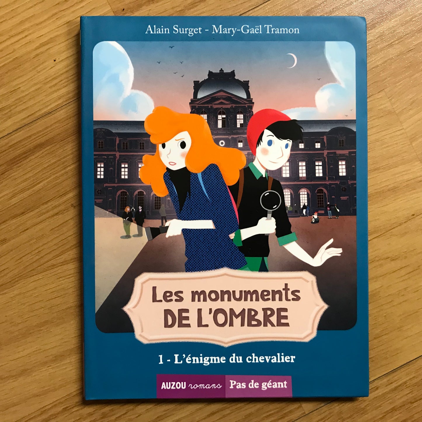 Les monuments de l’ombre 1, L’énigme du chevalier - Alain Surget