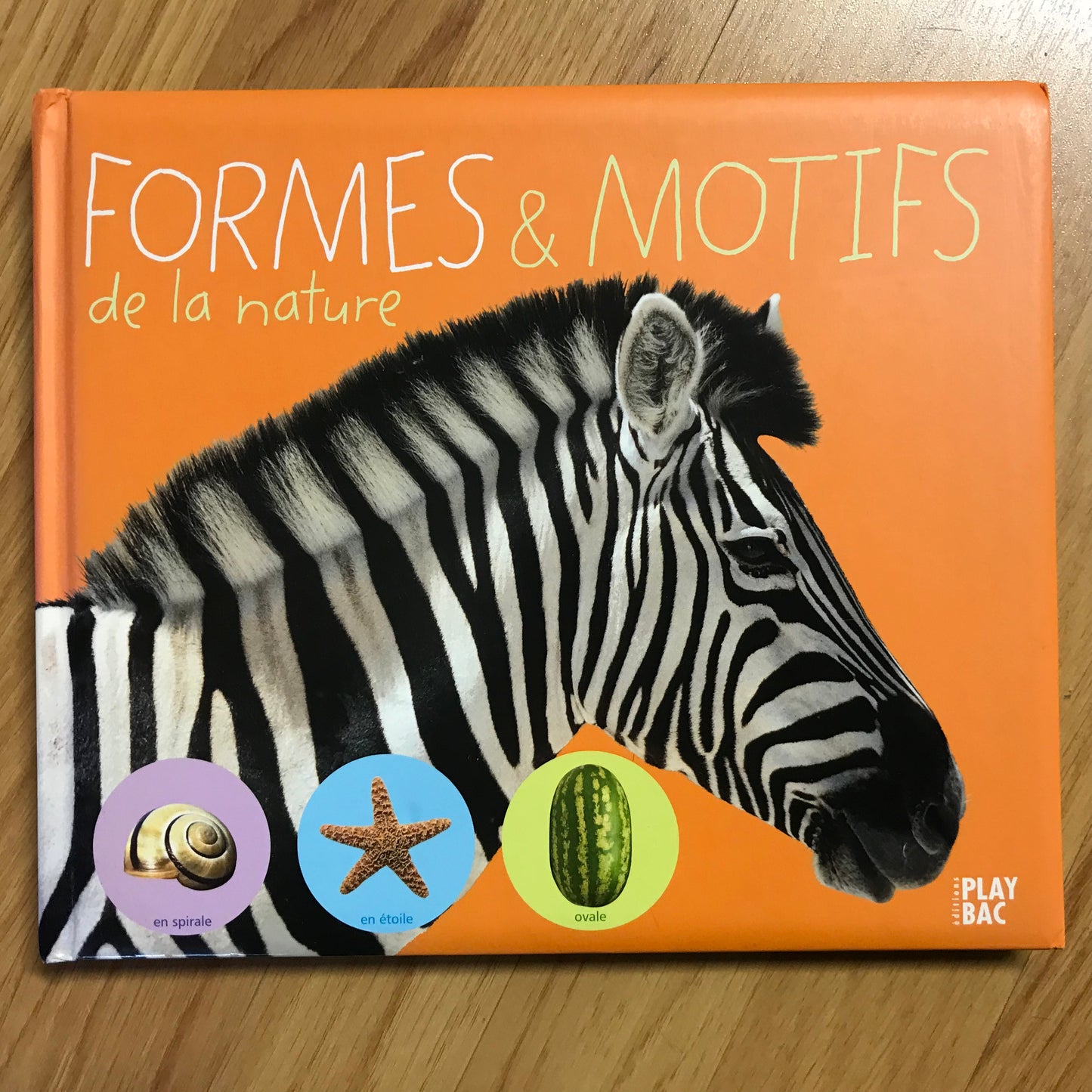 Formes et motifs de la nature