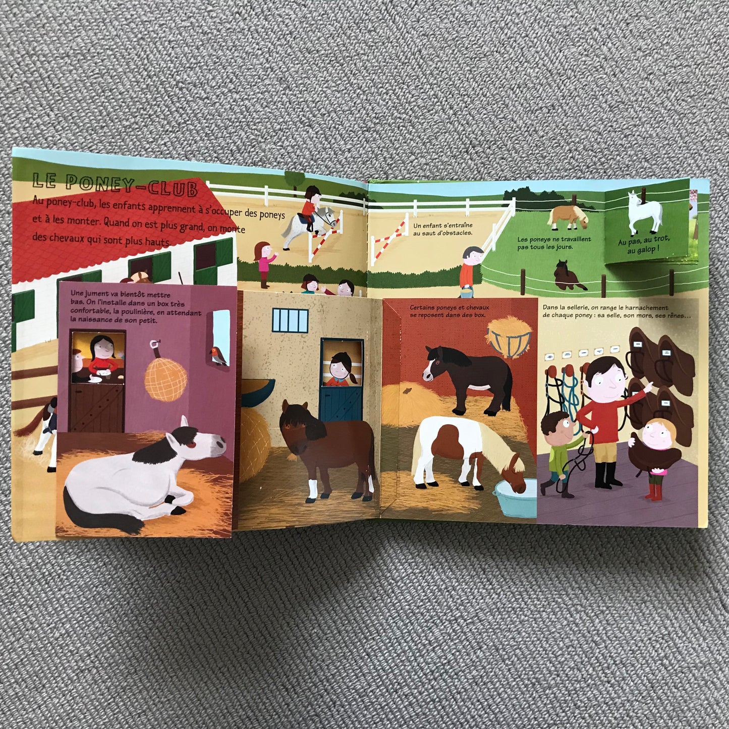 Kididoc: Les chevaux et les poneys