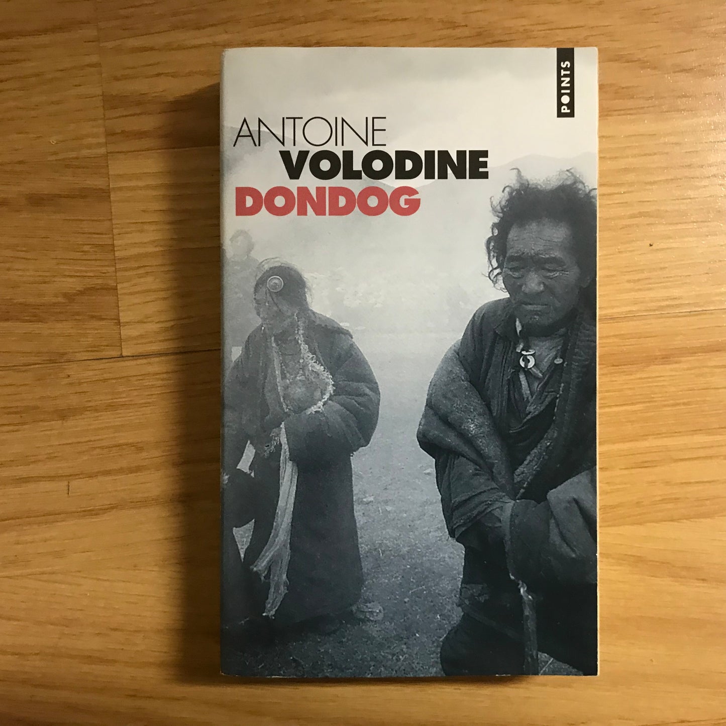 Volodine, Antoine - Dondog