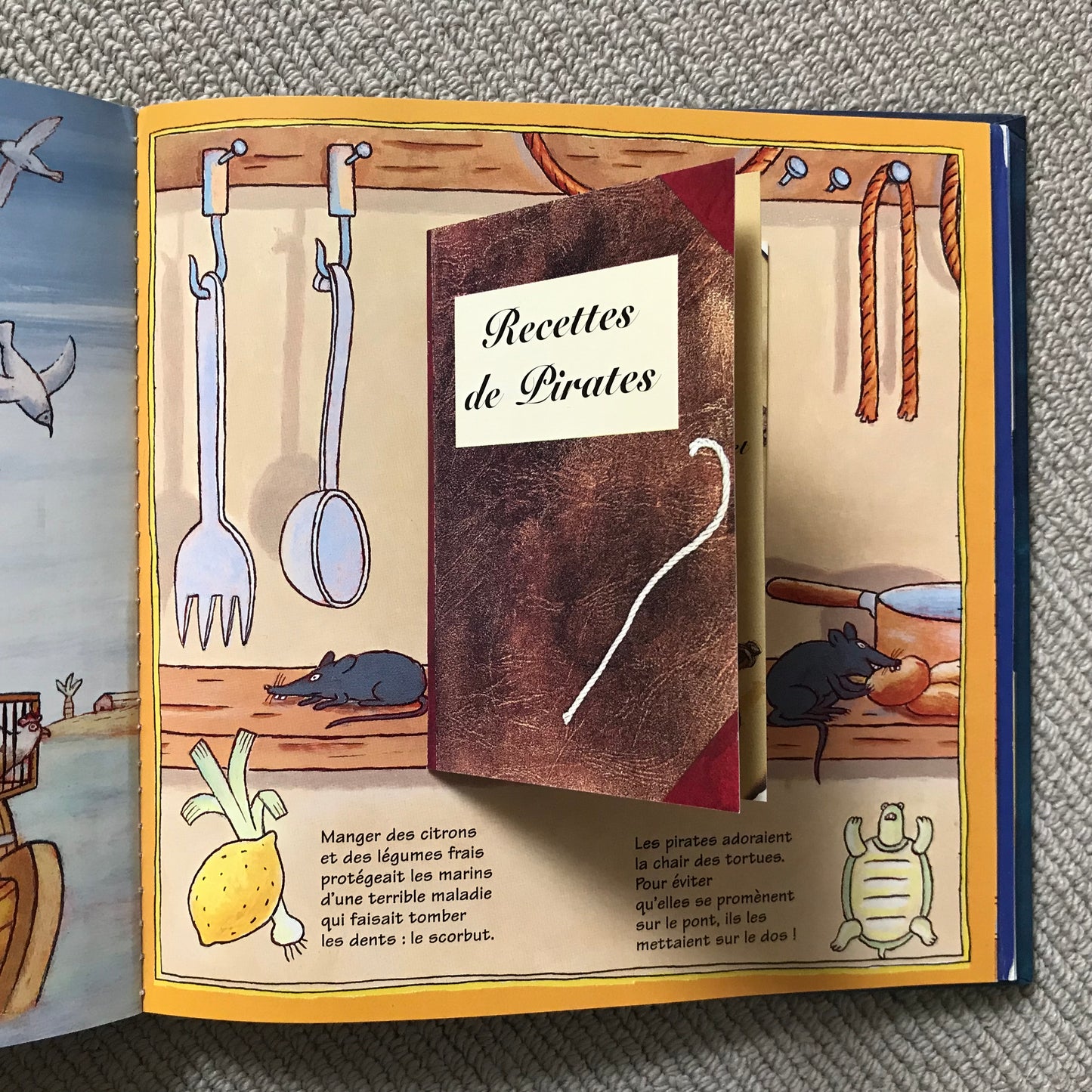 Kididoc: Pirates à bord !