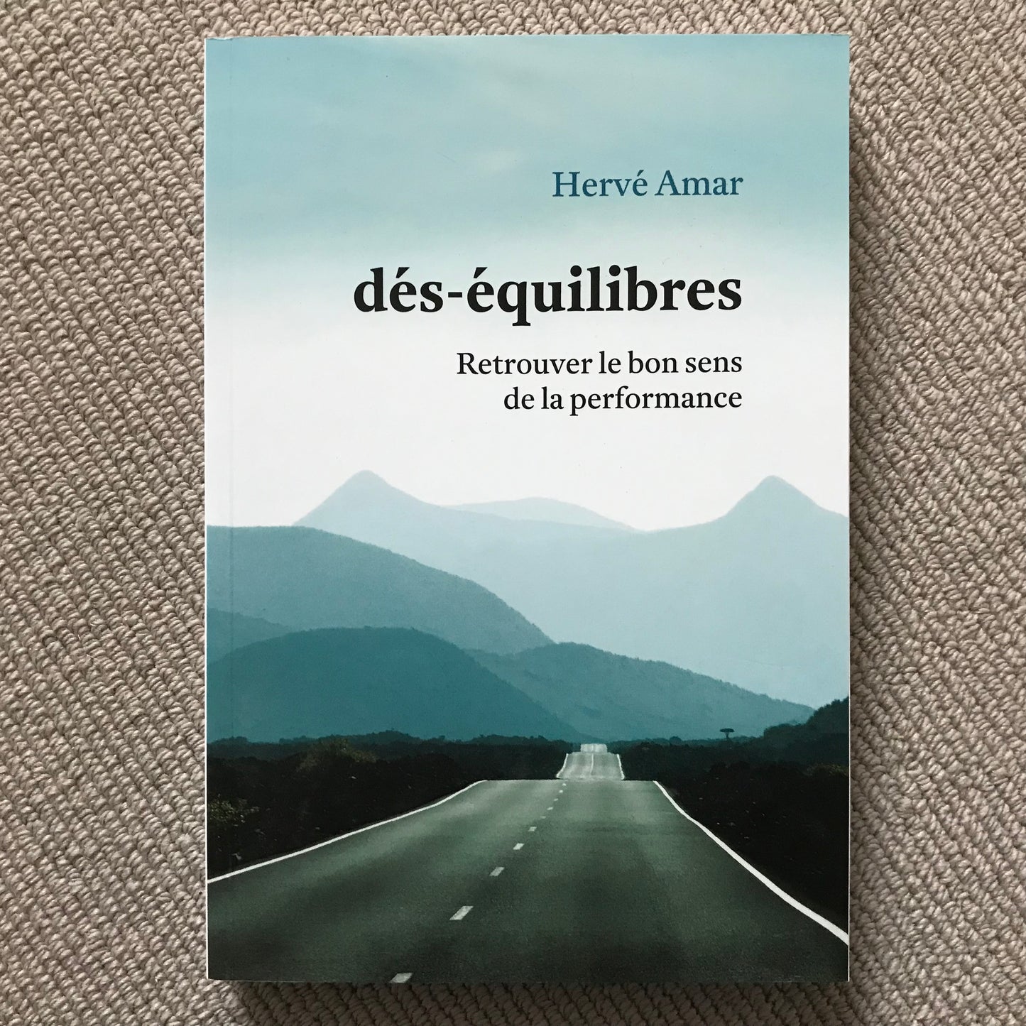 Dés-équilibres ; retrouver le bons sens de la performance - H. Amar
