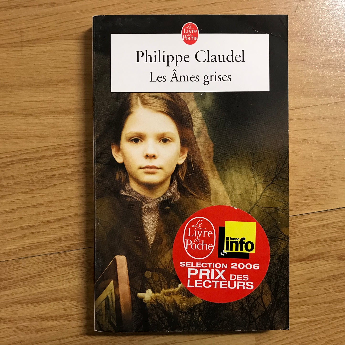 Claudel, Philippe - Les âmes grises