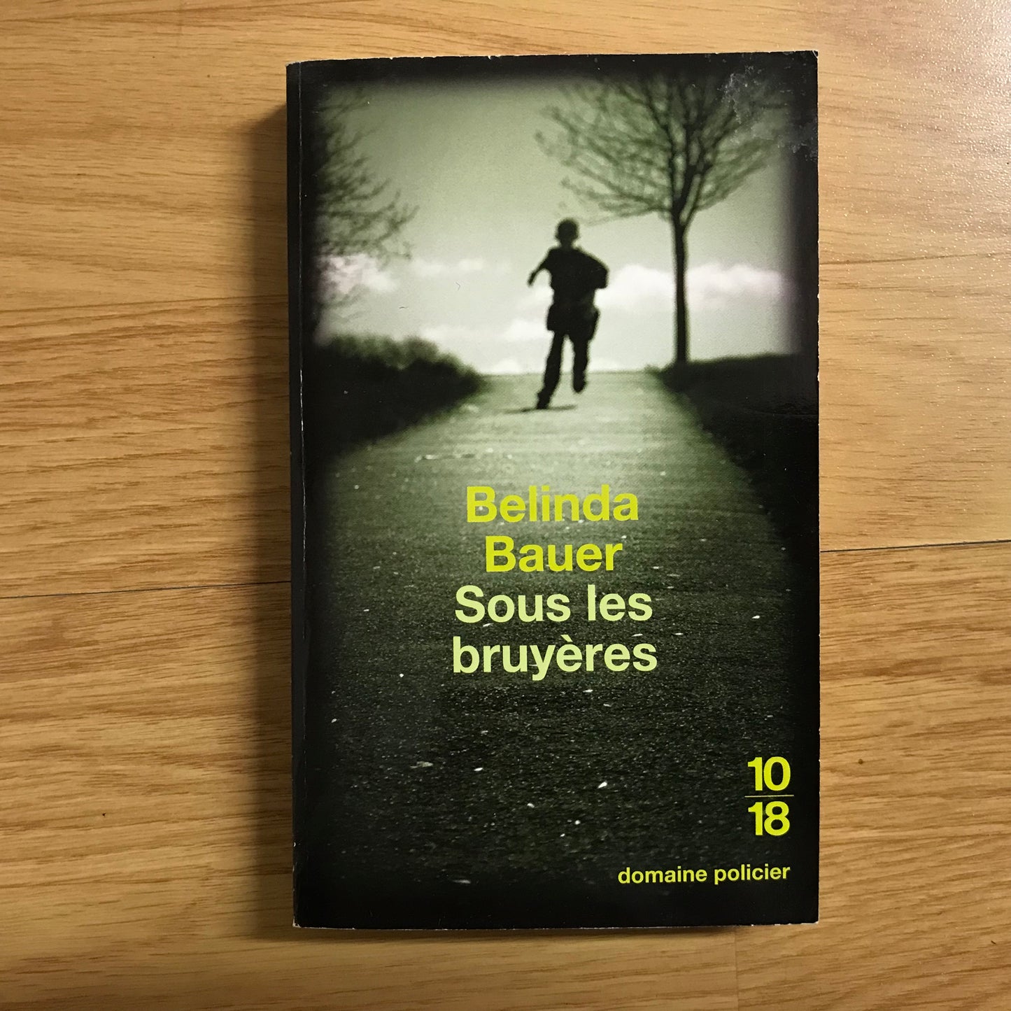 Bauer, Belinda - Sous les bruyères