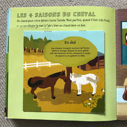 Kididoc: Les chevaux et les poneys