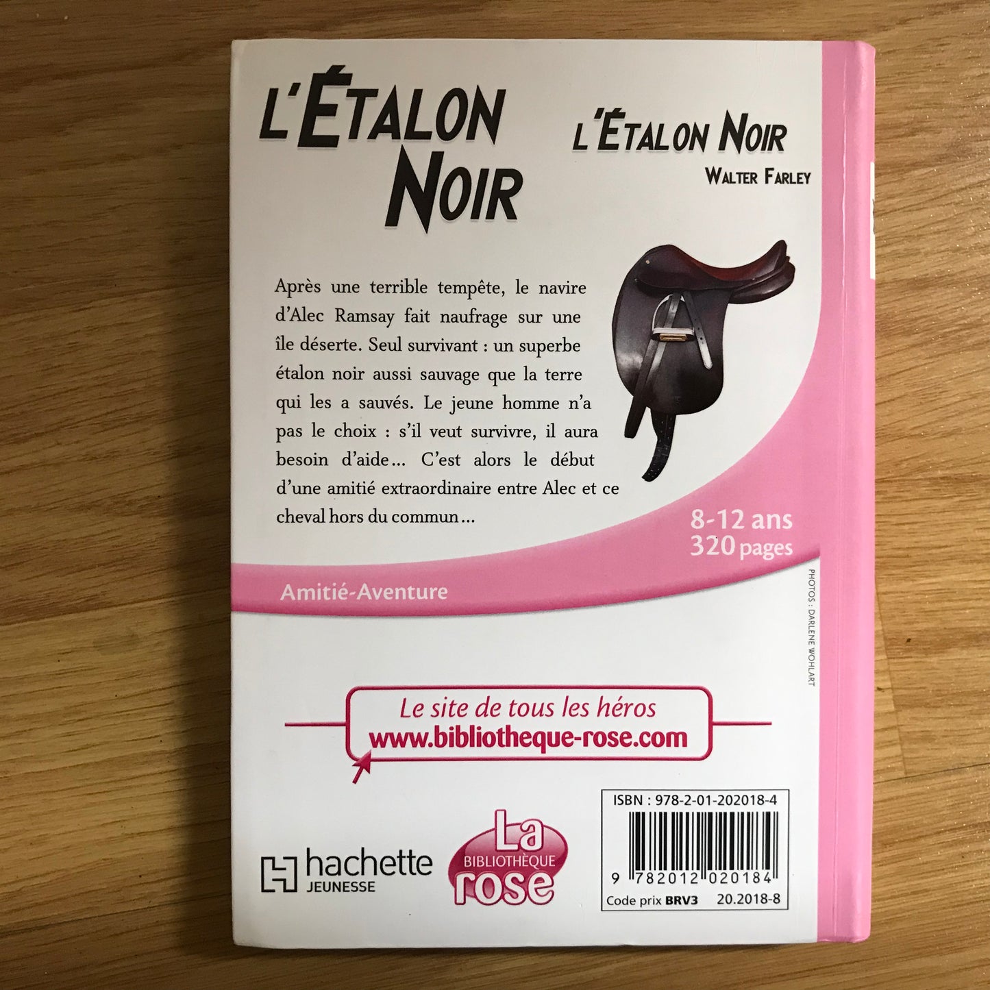 L’étalon noir 1: L’étalon noir - Walter Farley