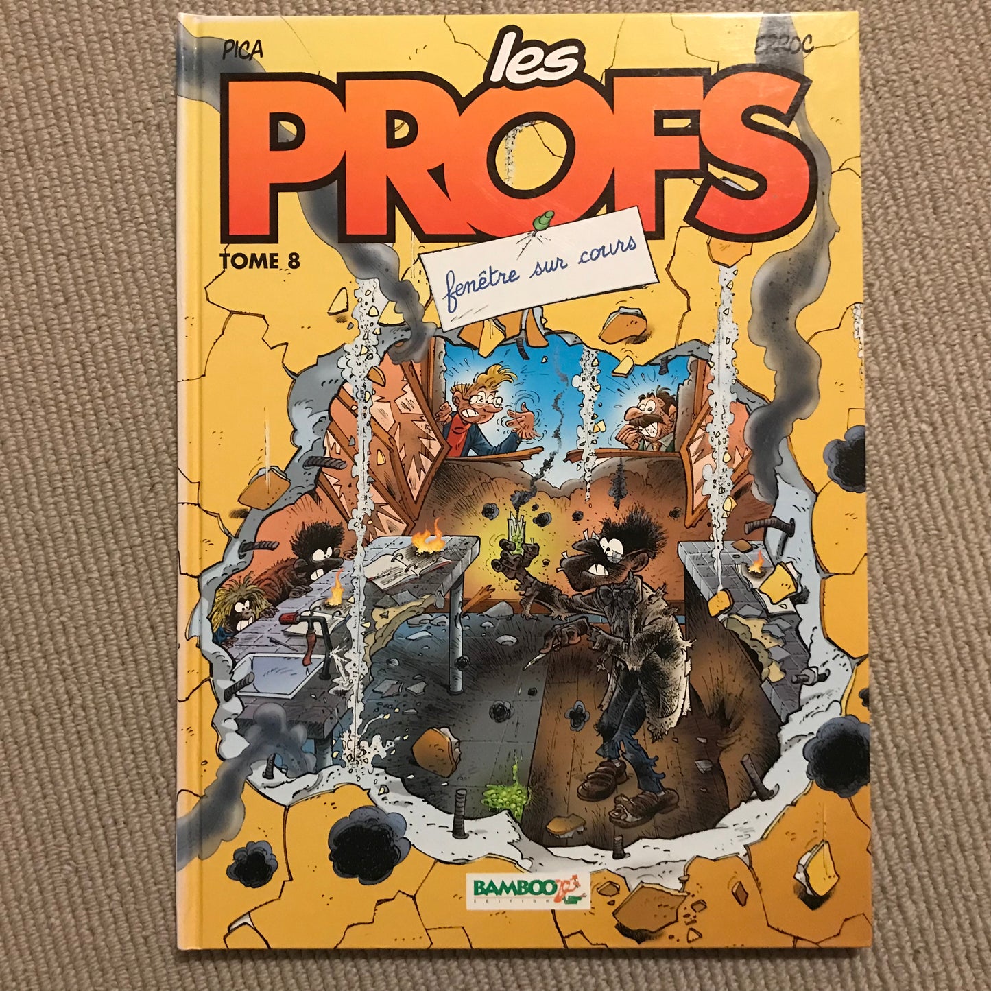Les profs T08: Fenêtre sur cours - Pica & Erroc