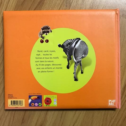 Formes et motifs de la nature