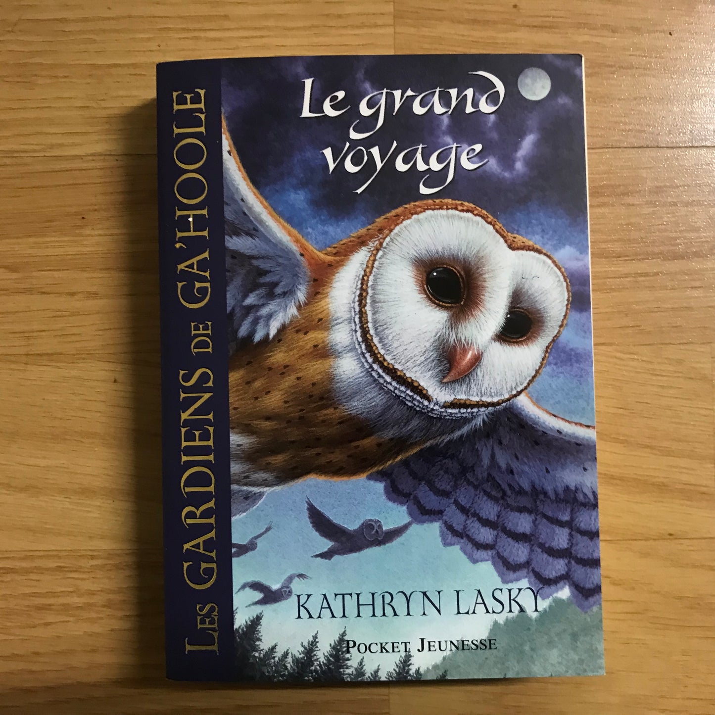 Les gardiens de Ga’Hoole T2: Le grand voyage - Kathryn Lasky